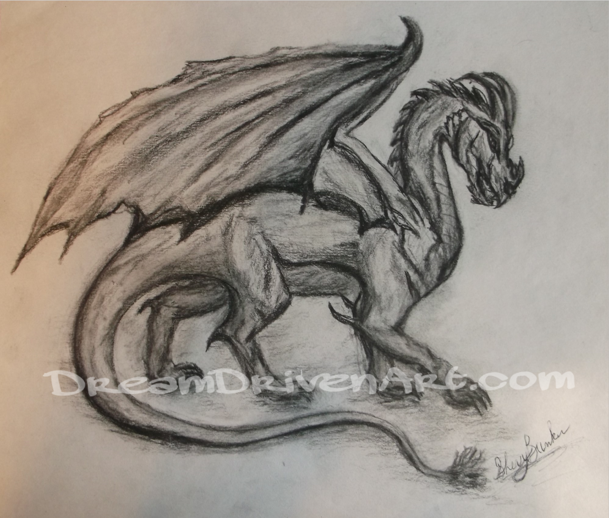 Pencil Sketches Dragons Pencildrawing2019 Pencil Sketches Dragons Pencildrawing2019