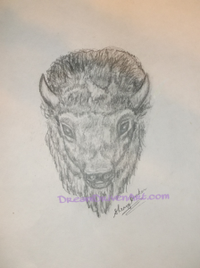 realistic buffalo head drawings