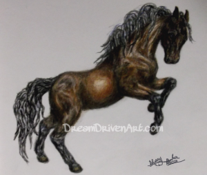 horse rearing up colored pencil drawing