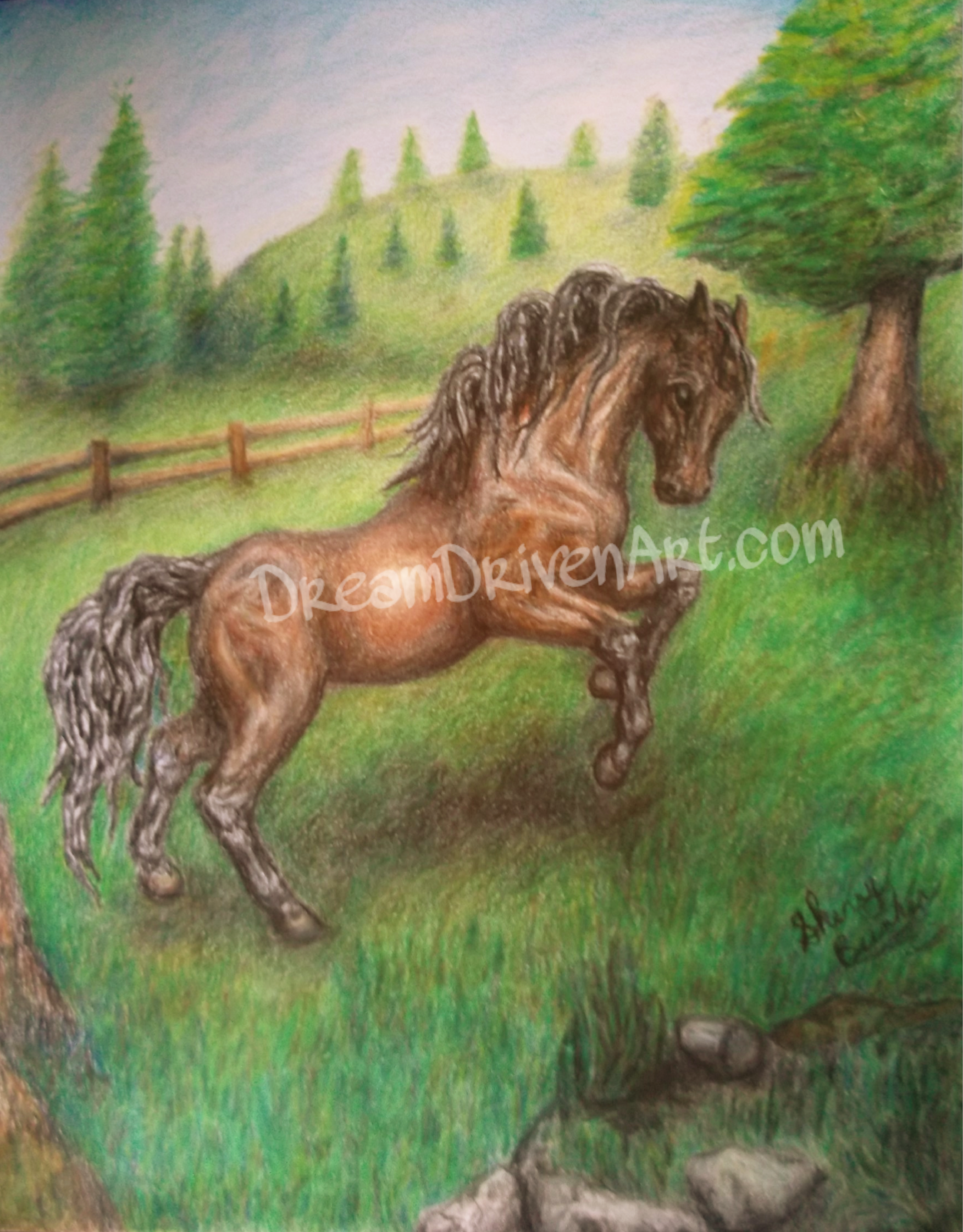 rearing bay colored horse in colored pencil