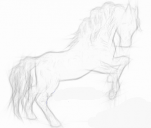 Pencil Drawings Horses