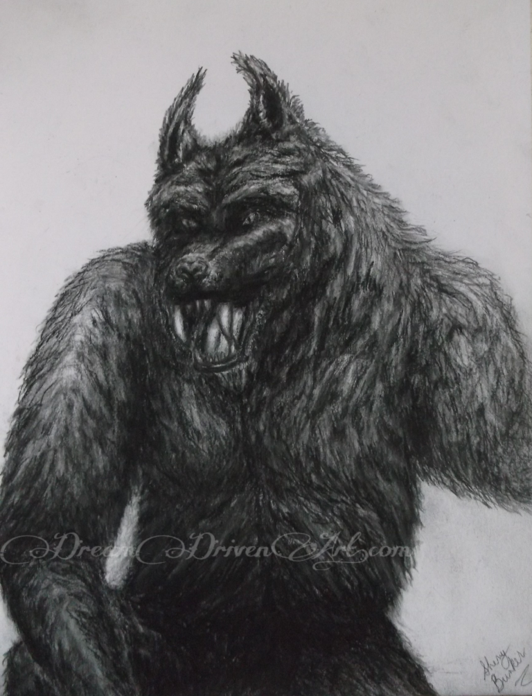 Pencil Drawings of Werewolf Dream Driven Art