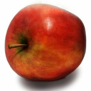 digital painting illustration of an apple