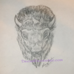 Buffalo head drawing realistic buffalo head drawings