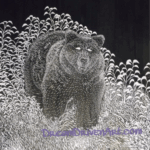 Realistic black bear scratch art black bear realistic scratch art