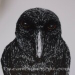 Drawing of a crow Pen and ink drawings and illustrations