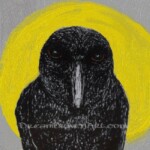 Crow in the moonlight The crow drawing with moon background